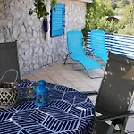 Charming Dalmatian With Panoramic View * تكون