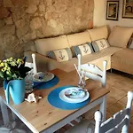 Charming Dalmatian With Panoramic View