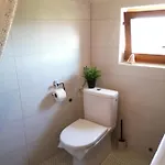 Charming Dalmatian With Panoramic View *