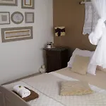Charming Dalmatian With Panoramic View *
