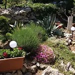 Charming Dalmatian With Panoramic View
