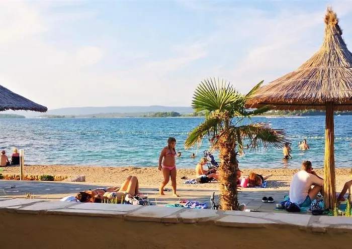 Charming Dalmatian With Panoramic View *