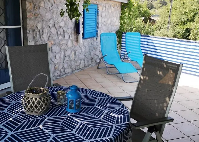 Charming Dalmatian With Panoramic View * Tkon