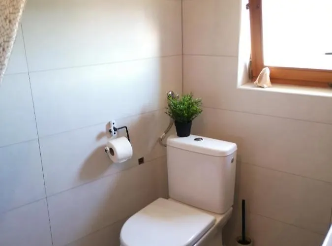 Charming Dalmatian With Panoramic View *