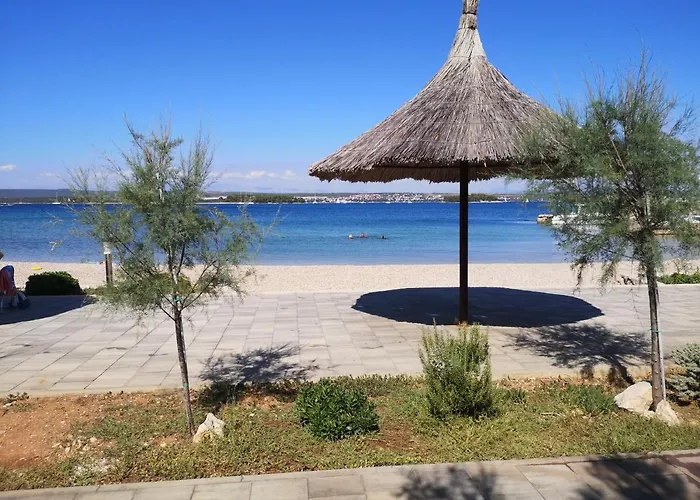 Charming Dalmatian With Panoramic View Tkon