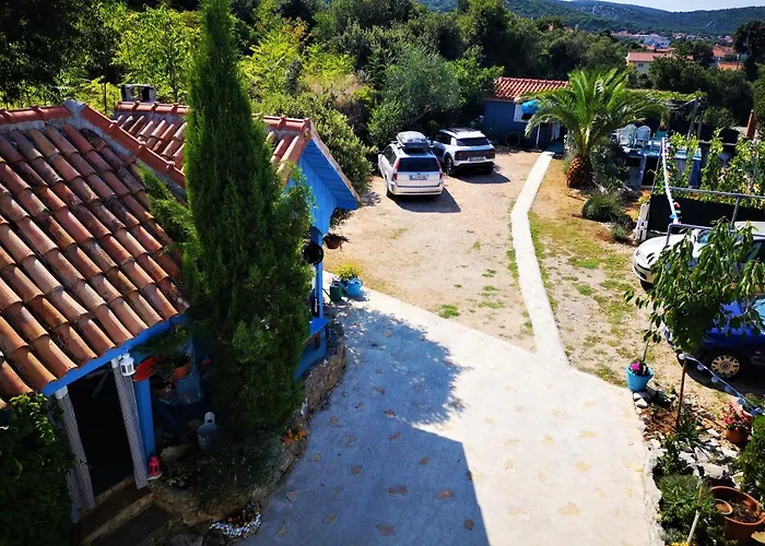 Charming Dalmatian With Panoramic View * Tkon