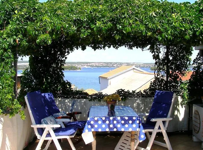Charming Dalmatian With Panoramic View Ткон