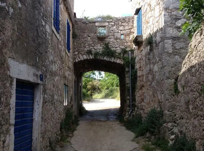 Charming Dalmatian With Panoramic View Tkon