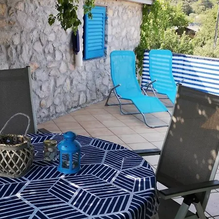 Charming Dalmatian With Panoramic View * Tkon