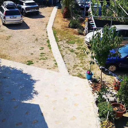 Charming Dalmatian With Panoramic View Daire Tkon