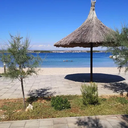 Charming Dalmatian With Panoramic View Tkon