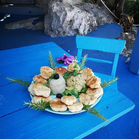 Charming Dalmatian With Panoramic View Daire *