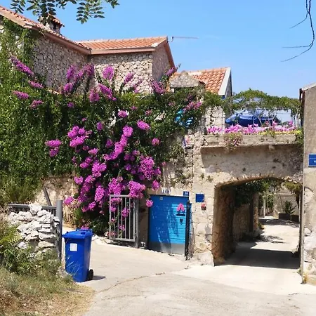 Charming Dalmatian With Panoramic View Tkon