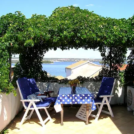 Charming Dalmatian With Panoramic View Tkon