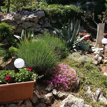 Charming Dalmatian With Panoramic View