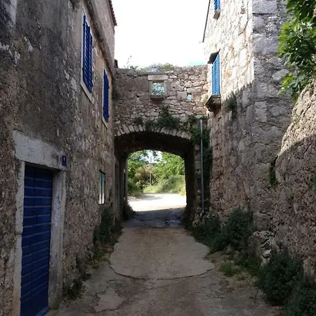 Charming Dalmatian With Panoramic View Tkon