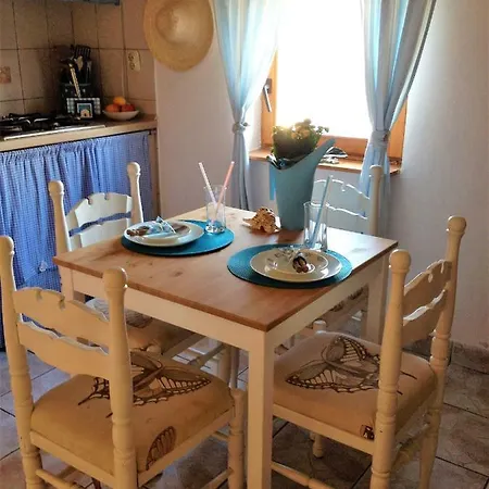 Charming Dalmatian With Panoramic View Apartment Tkon