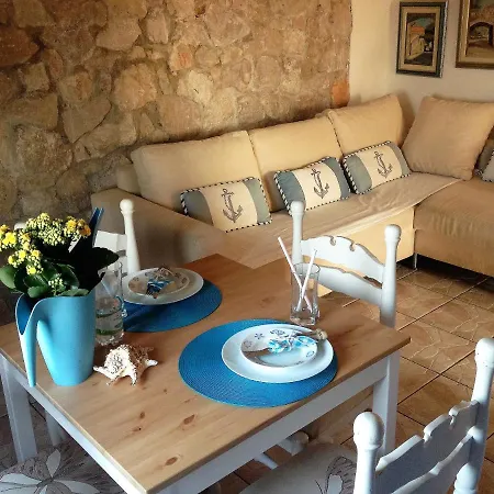 Charming Dalmatian With Panoramic View