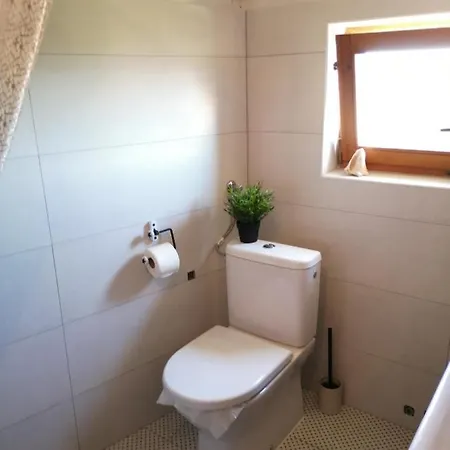 Charming Dalmatian With Panoramic View *