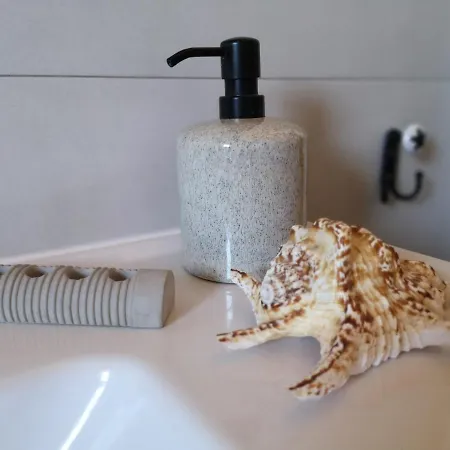 Charming Dalmatian With Panoramic View