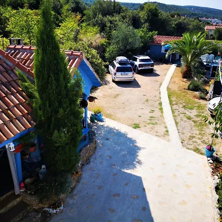 Charming Dalmatian With Panoramic View * Tkon