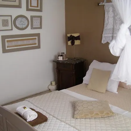 Charming Dalmatian With Panoramic View *