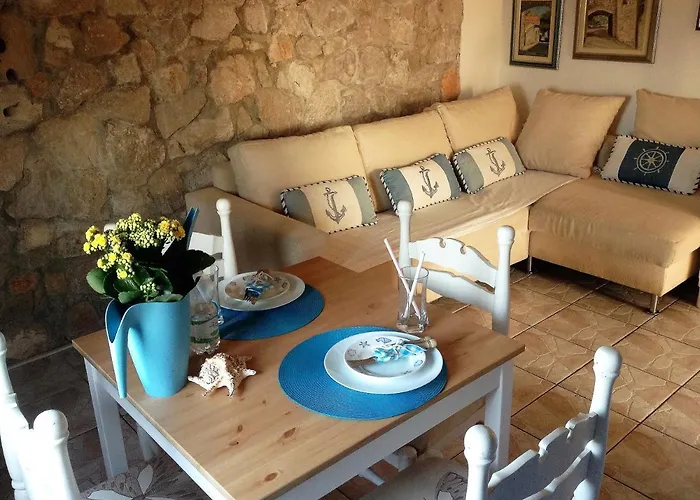 Charming Dalmatian With Panoramic View