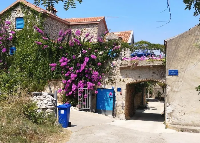 Charming Dalmatian With Panoramic View 트콘