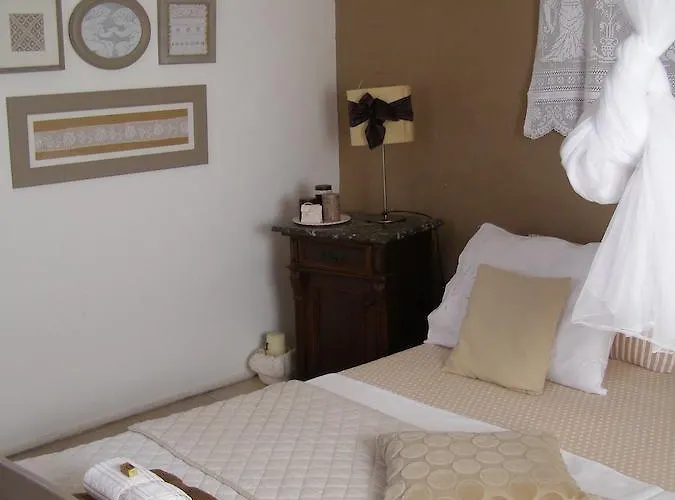 Charming Dalmatian With Panoramic View *