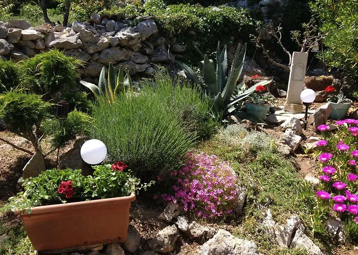 Charming Dalmatian With Panoramic View